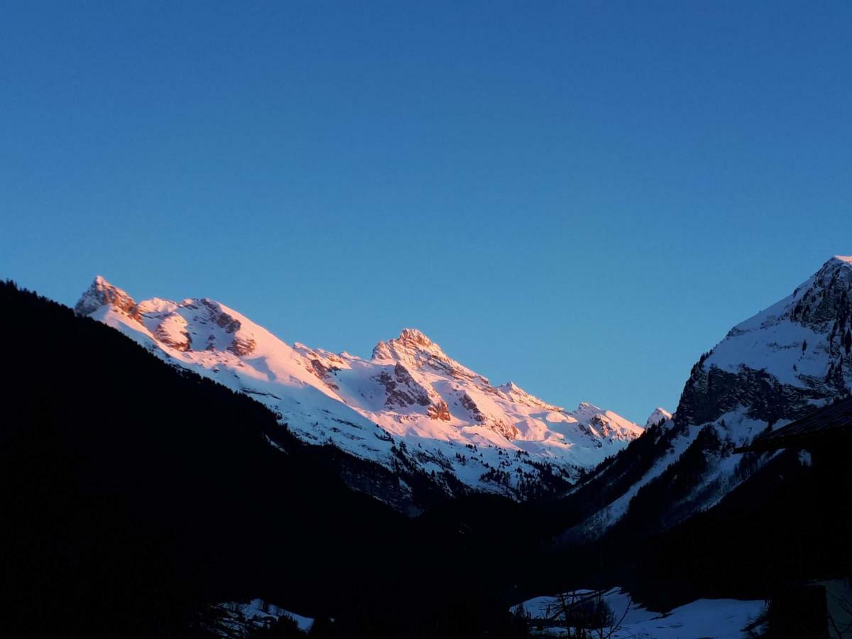 L'ancolie Chalet Le Reposoir