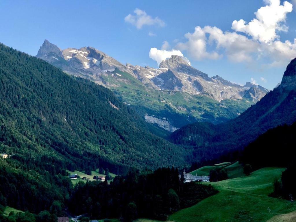 L'ancolie Chalet Le Reposoir